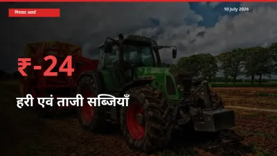 हरी एवं ताजी सब्जियाँ के दाम प्रमुख मंडी में 24.44% गिरे, 24 घंटे में बड़ा बदलाव