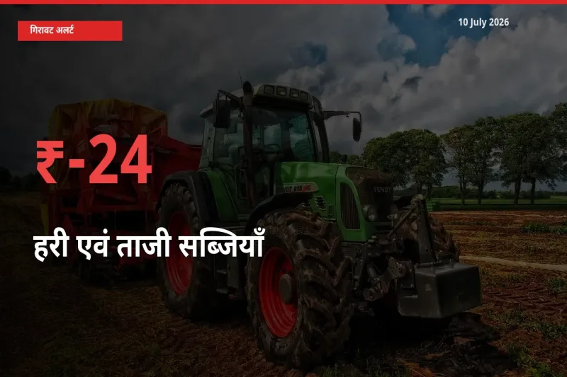 हरी एवं ताजी सब्जियाँ के दाम प्रमुख मंडी में 24.44% गिरे, 24 घंटे में बड़ा बदलाव