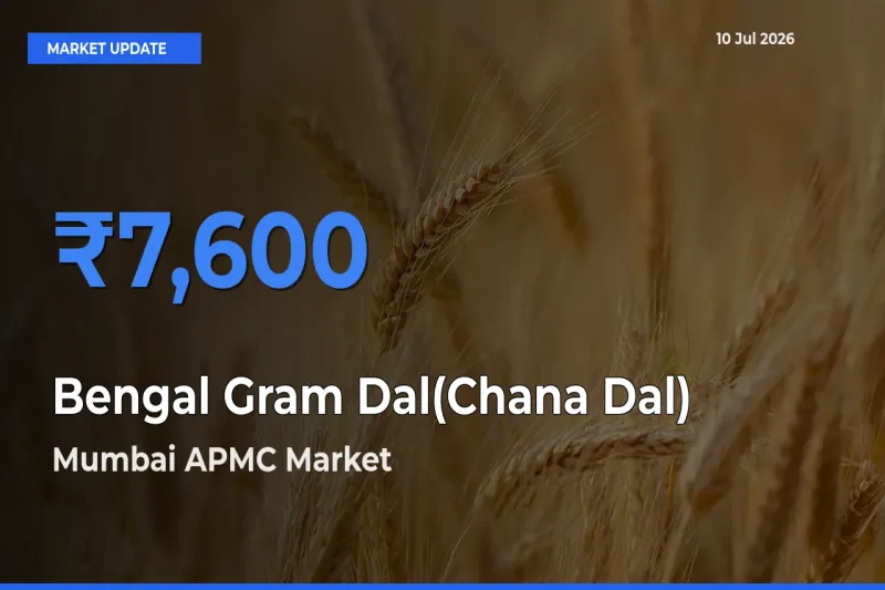 Mumbai APMC Emerges as Top Mandi for Bengal Gram Dal(Chana Dal) Prices Today
