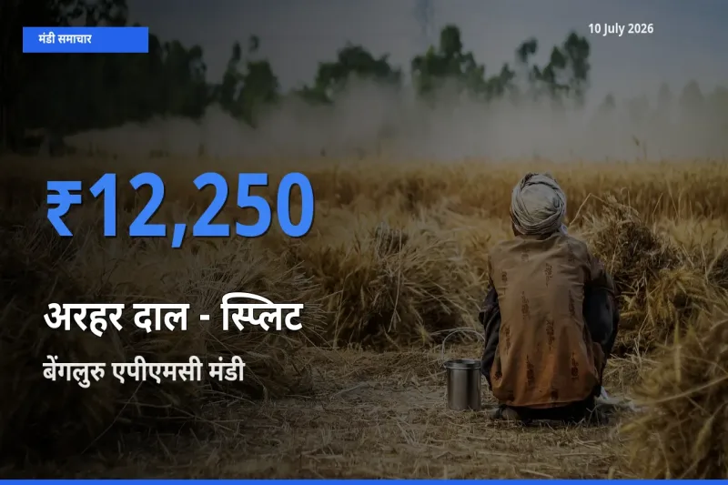 किसानों की पसंद बना बेंगलुरु एपीएमसी, अरहर दाल - स्प्लिट के सबसे अच्छे दाम