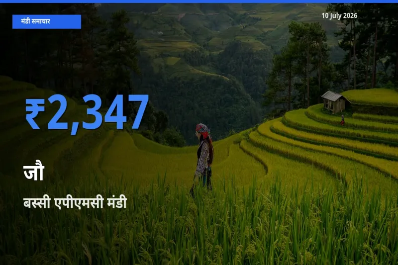 किसानों की पसंद बना बस्सी एपीएमसी, जौ के सबसे अच्छे दाम