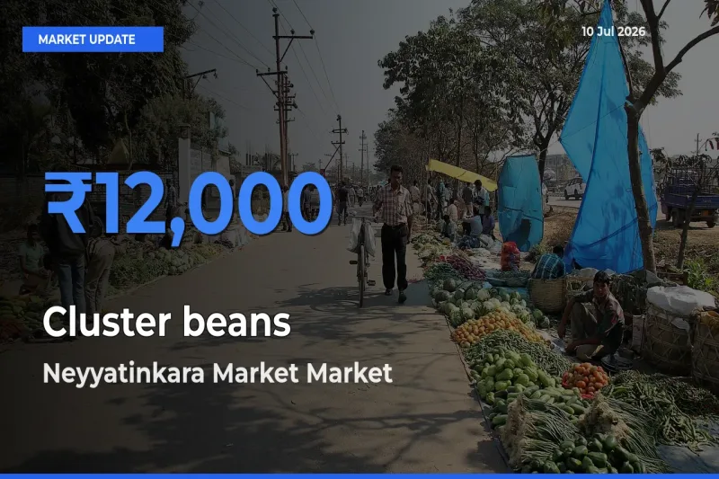 Neyyatinkara Market Leads as Top Mandi for Cluster beans Prices
