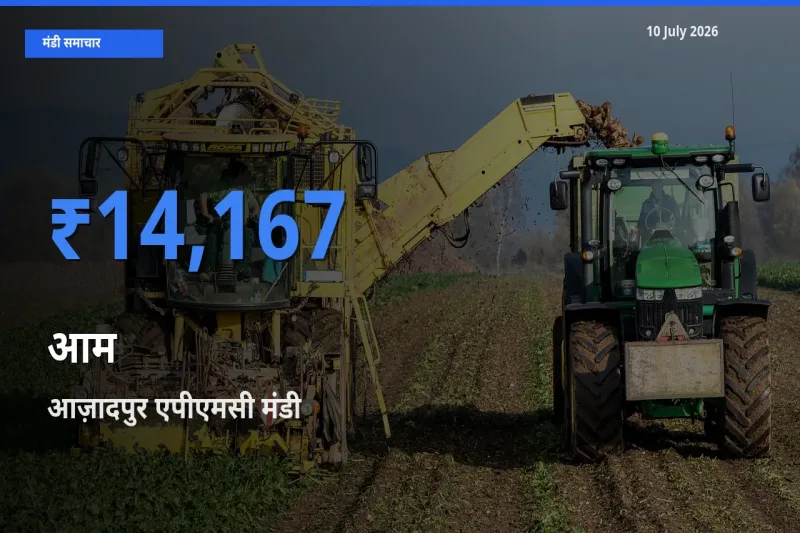 10 July अपडेट: आम के सबसे ऊँचे दाम आज़ादपुर एपीएमसी मंडी में