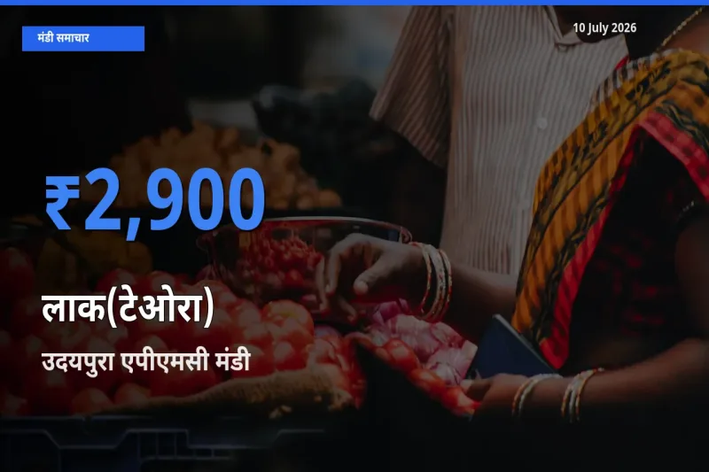 10 July अपडेट: लाक(टेओरा) के सबसे ऊँचे दाम उदयपुरा एपीएमसी मंडी में