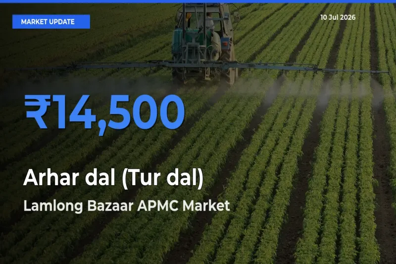 Farmers Prefer Lamlong Bazaar APMC as Arhar dal (Tur dal) Hits Highest Rate