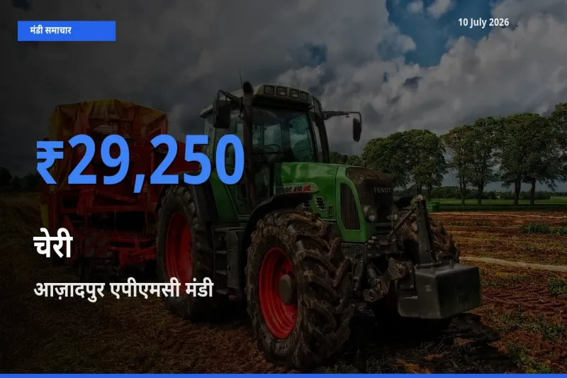 10 July अपडेट: चेरी के सबसे ऊँचे दाम आज़ादपुर एपीएमसी मंडी में