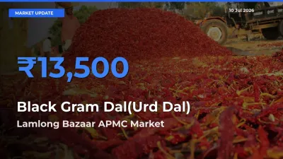 Lamlong Bazaar APMC Tops Black Gram Dal(Urd Dal) Rates – July 10 Market Update
