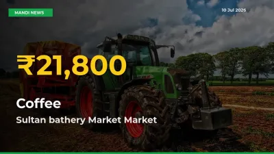 Coffee Hits Fresh High in Sultan bathery Market Today