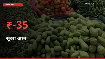 सूखा आम के दाम प्रमुख मंडी में 34.96% गिरे, 24 घंटे में बड़ा बदलाव