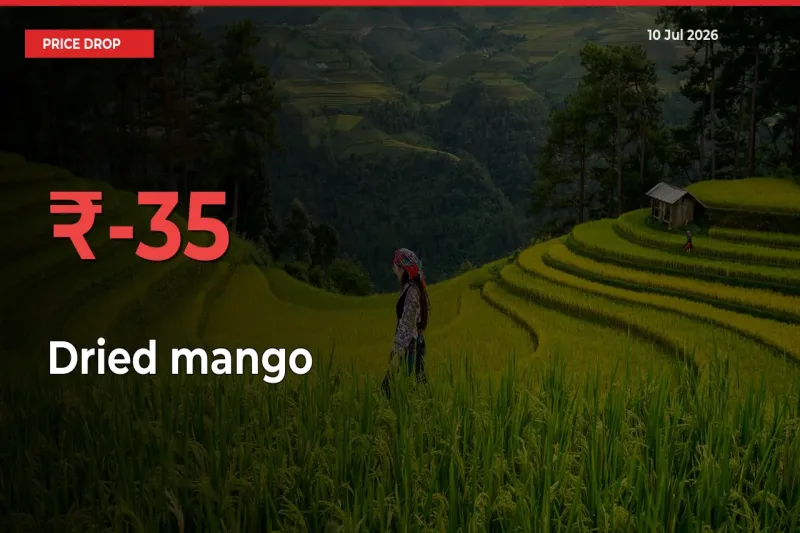Sudden Shock! Dried mango Drops 34.96% in 24 Hours at Top Mandis