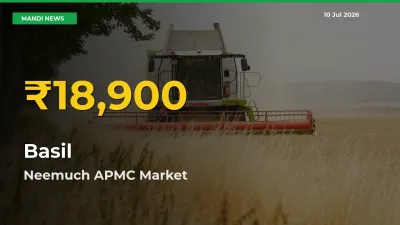Basil Prices Soar to Record High in Neemuch APMC – Farmers Alert Today