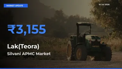 Silvani APMC Tops Lak(Teora) Mandi Rates Today