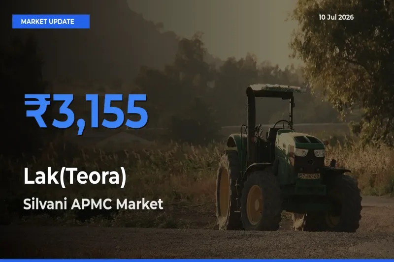 Silvani APMC Tops Lak(Teora) Mandi Rates Today