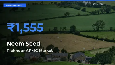 Pichhour APMC Offers ₹1,555 – Highest Neem Seed Rate Today