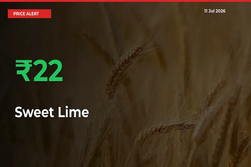 Sweet Lime Rises 22.02% at Mandis
