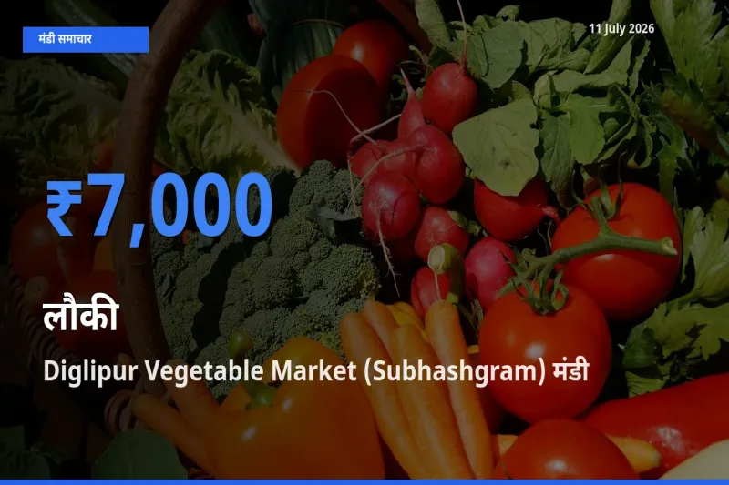 आज लौकी के सबसे ऊँचे दाम ₹7,000 Diglipur Vegetable Market (Subhashgram) मंडी में