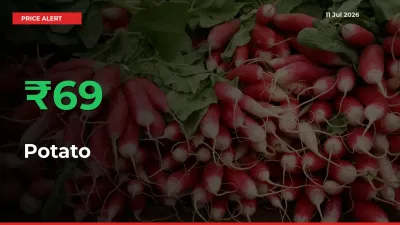 69.35% Spike in Potato Prices – Mandi Sees Sudden Rally