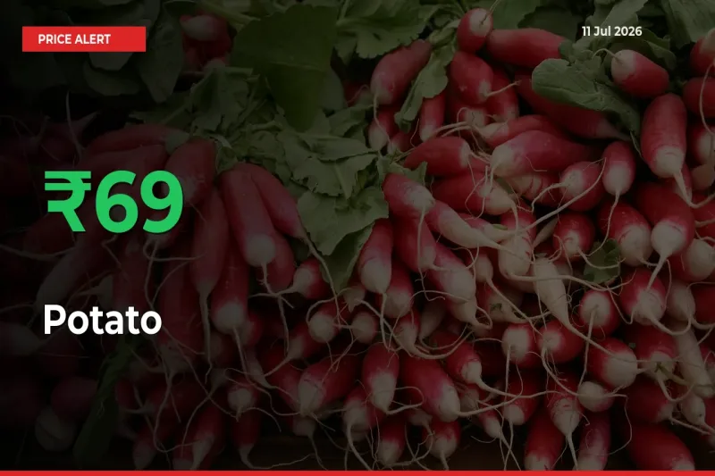 69.35% Spike in Potato Prices – Mandi Sees Sudden Rally