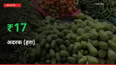स्थानीय मंडी में अदरक (हरा) के दाम अचानक 17.31% उछले, किसान सतर्क
