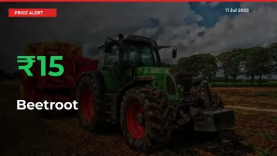 Farmers Cheer as Beetroot Prices Surge 15.02% in Local Mandis