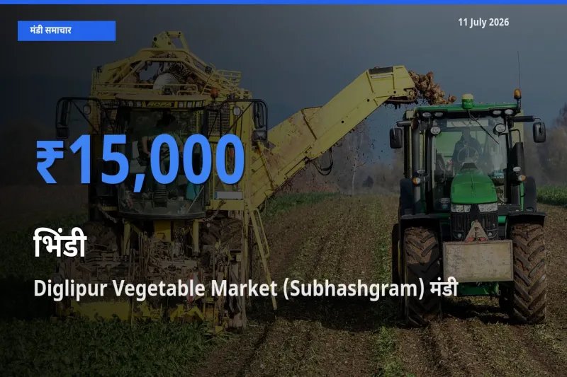 आज का मंडी भाव: भिंडी के सबसे ज़्यादा दाम Diglipur Vegetable Market (Subhashgram) में