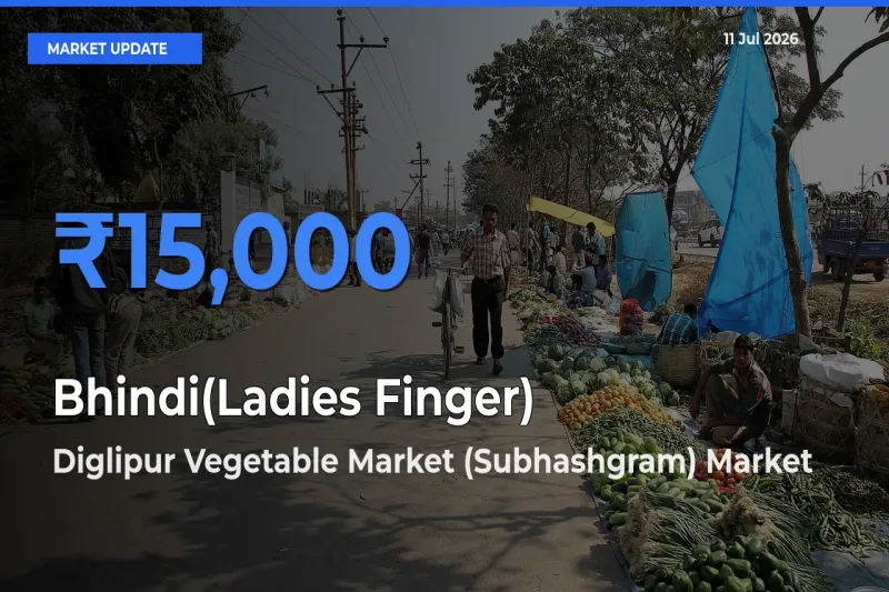 Farmers Prefer Diglipur Vegetable Market (Subhashgram) as Bhindi(Ladies Finger) Hits Highest Rate