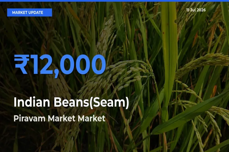 Piravam Market Tops Indian Beans(Seam) Mandi Rates Today