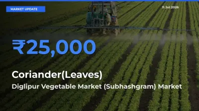 Coriander(Leaves) Mandi Rate Today: Diglipur Vegetable Market (Subhashgram) Tops the List