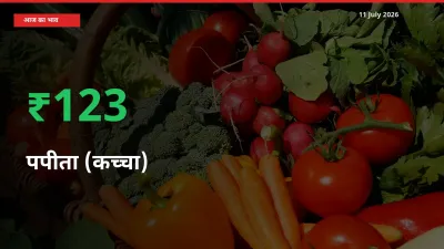 स्थानीय मंडी में पपीता (कच्चा) के दाम अचानक 123.33% उछले, किसान सतर्क