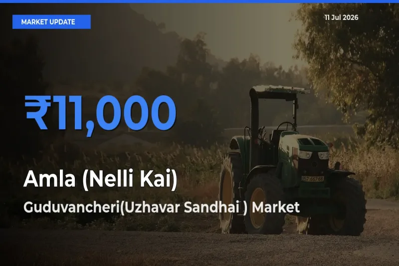 Guduvancheri(Uzhavar Sandhai ) Tops Amla (Nelli Kai) Rates – July 11 Market Update