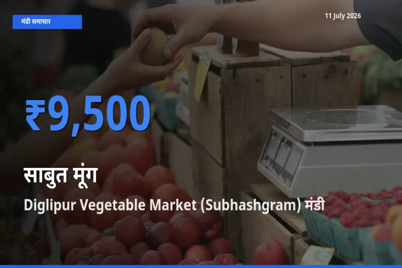 आज साबुत मूंग के सबसे ज़्यादा दाम Diglipur Vegetable Market (Subhashgram) मंडी में दर्ज