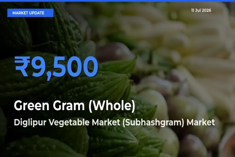 Top Performer! Diglipur Vegetable Market (Subhashgram) Offers Best Green Gram (Whole) Price Today