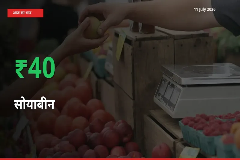तेज़ तेजी! मंडी में सोयाबीन के दाम 39.79% चढ़े