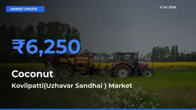 Farmers Prefer Kovilpatti(Uzhavar Sandhai ) as Coconut Hits Highest Rate