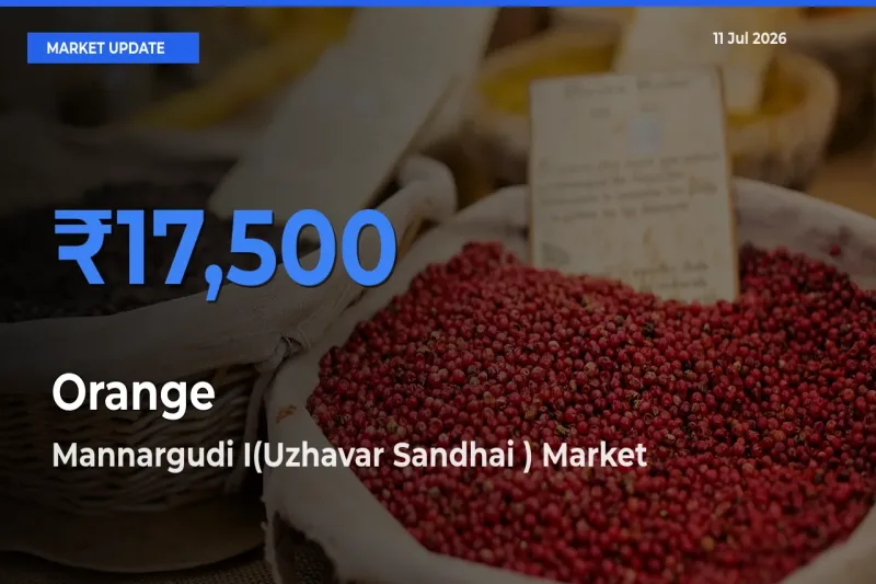 Market Watch: Mannargudi I(Uzhavar Sandhai ) Becomes Top Mandi for Orange