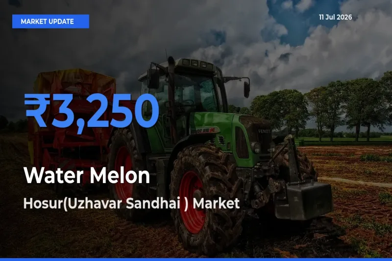Hosur(Uzhavar Sandhai ) Tops Water Melon Mandi Rates Today