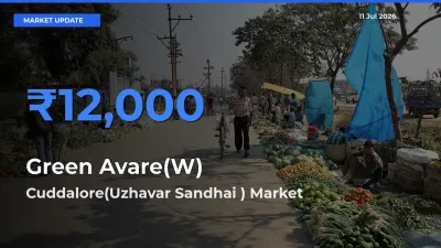 Market Watch: Cuddalore(Uzhavar Sandhai ) Becomes Top Mandi for Green Avare(W)