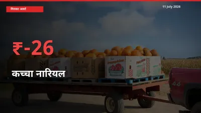 बाज़ार संकेत: कच्चा नारियल के भाव मंडी में 25.9% नीचे