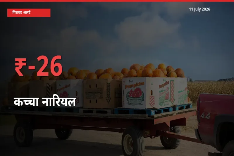 बाज़ार संकेत: कच्चा नारियल के भाव मंडी में 25.9% नीचे