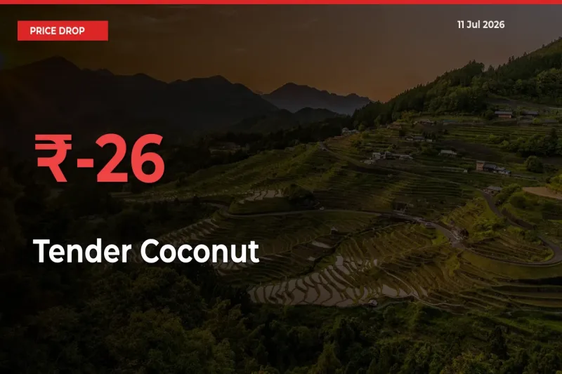 Farmers Alert as Tender Coconut Prices Slide 25.9% in Local Mandis