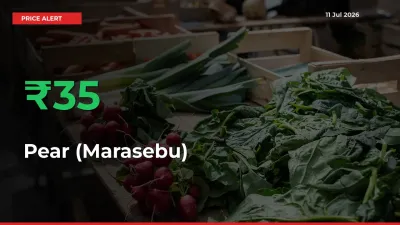 Pear (Marasebu) Mandi Rate Today: Prices Jump 34.82% at Market