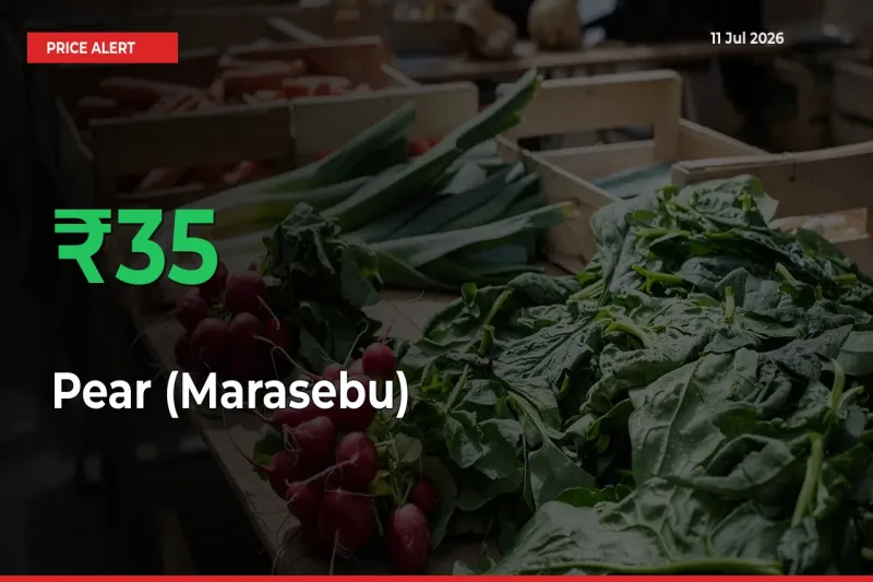 Pear (Marasebu) Mandi Rate Today: Prices Jump 34.82% at Market