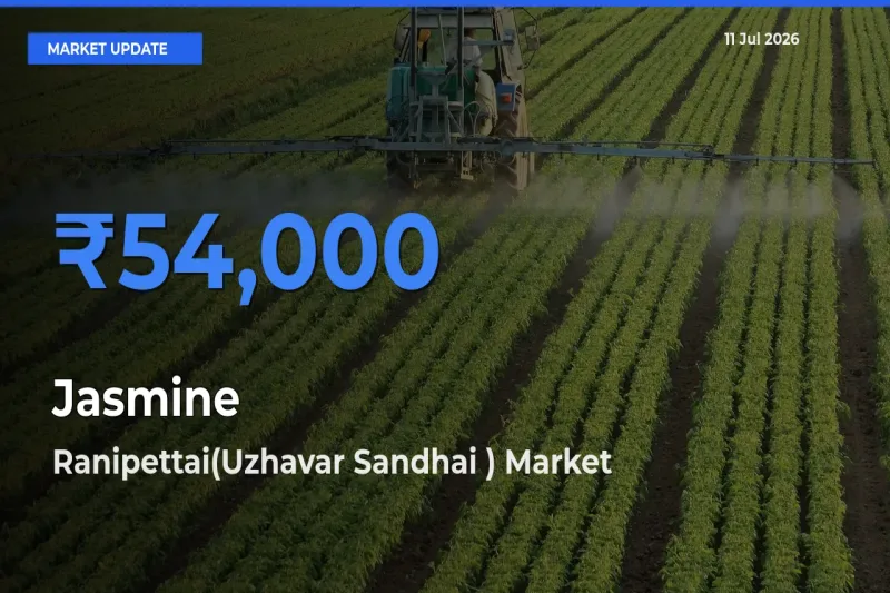 Ranipettai(Uzhavar Sandhai ) Records Highest ₹54,000 Rate for Jasmine