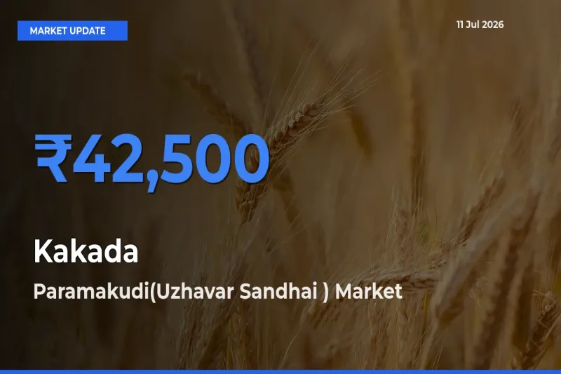 Kakada Mandi Rate Today: Paramakudi(Uzhavar Sandhai ) Tops the List