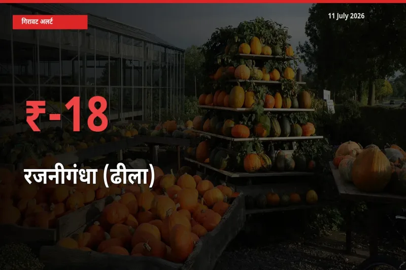तेज़ गिरावट! मंडी में रजनीगंधा (ढीला) के दाम 18.23% लुढ़के