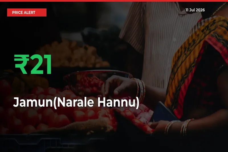 20.84% Spike in Jamun(Narale Hannu) Prices – Mandi Sees Sudden Rally