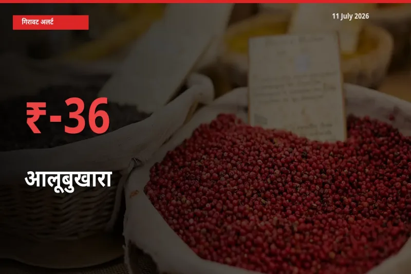 35.75% की गिरावट! मंडी में आलूबुखारा के दाम अचानक टूटे