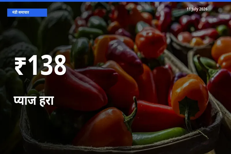 कई मंडियों में प्याज हरा के भाव एक दिशा में, बाज़ार का रुख साफ