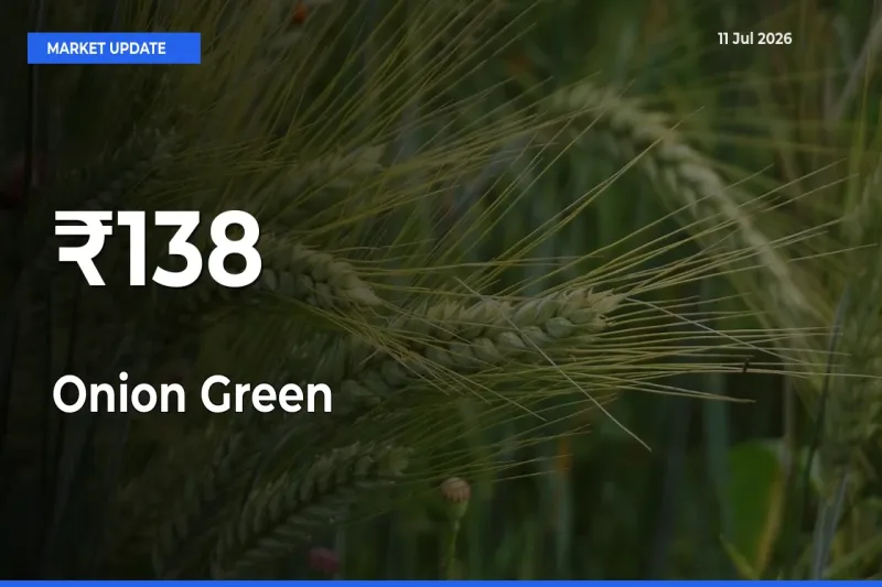 Strong Trend in Onion Green Rates Across Multiple Mandis – What It Means for Traders