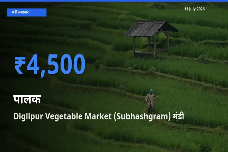 बाज़ार संकेत: Diglipur Vegetable Market (Subhashgram) बना पालक के लिए आज की टॉप मंडी